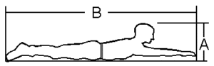 Prone body dimensions