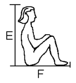 Seated body dimensions