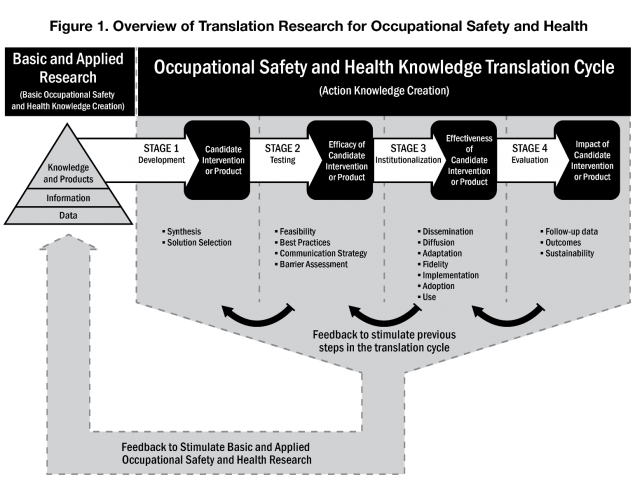 graphic of feedback loop showing how applied research informs translation research and vice versa