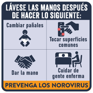 Lávese las manos después de cambiar pañales, tocar superficies comunes, dar la mano, cuidar a personas enfermas. Prevenga los norovirus.