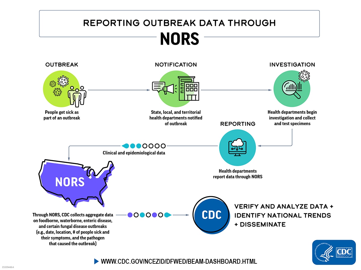 A flow chart that takes users through reporting steps and ways CDC uses the data collected through NORS.