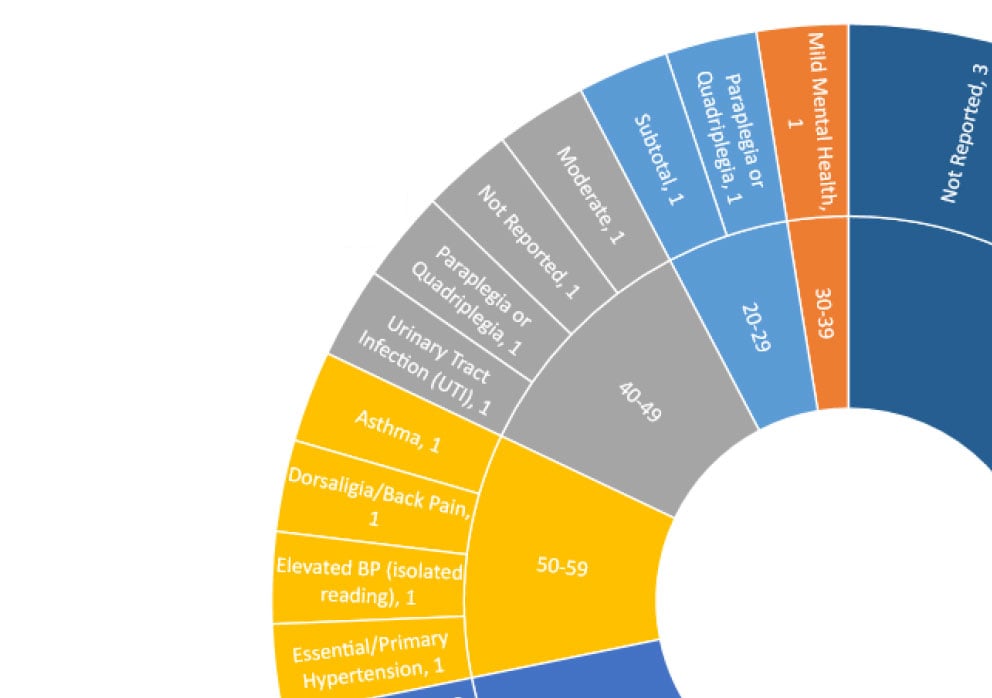 circular chart