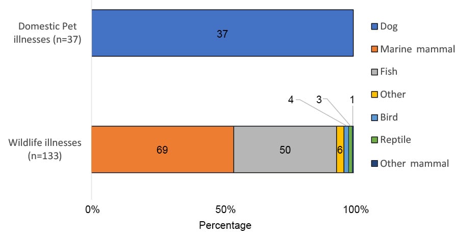 Figure showing the reported animal types of HAB-associated animal cases (excluding fish kill), 2020