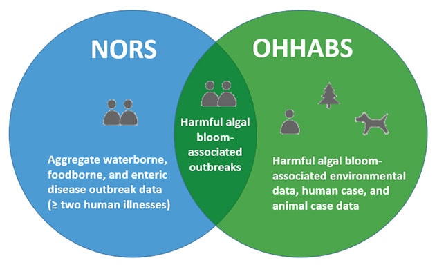 Harmful Algal Balgal bloom reporting in NORS and OHHABS.