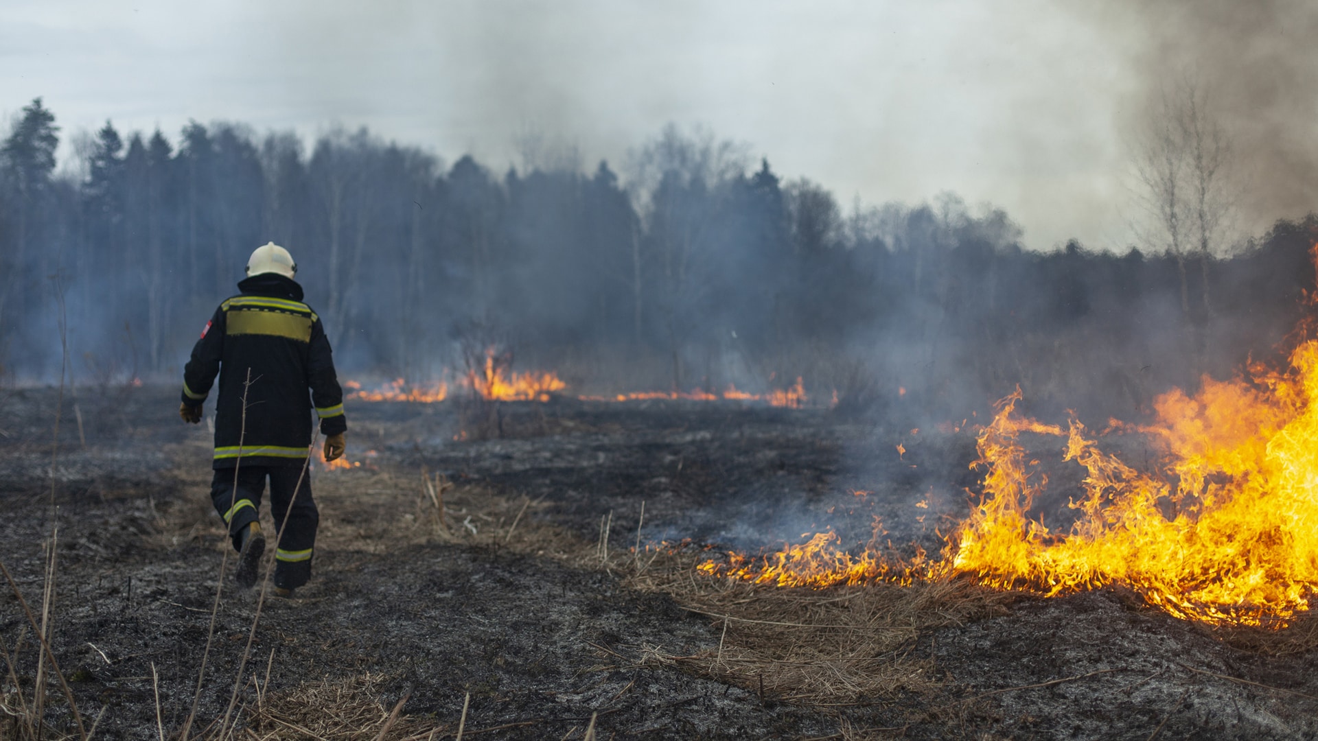 man in firefighter gear standing in a burning field responding to a wildfire event