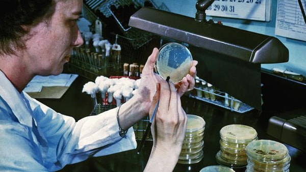 Lab worker conducting experiment