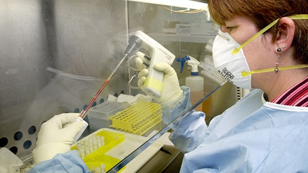 Lab worker conducting experiment