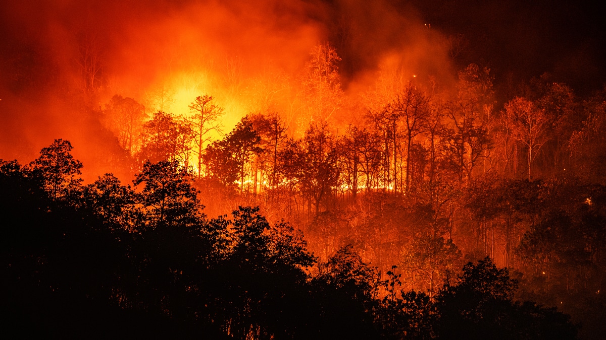 California wildfire