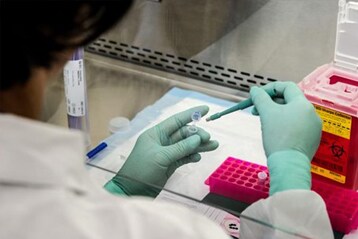 A scientist using a disposable biopsy punch, expelling the punches into a buffer, inside a biological safety cabinet (BSC).