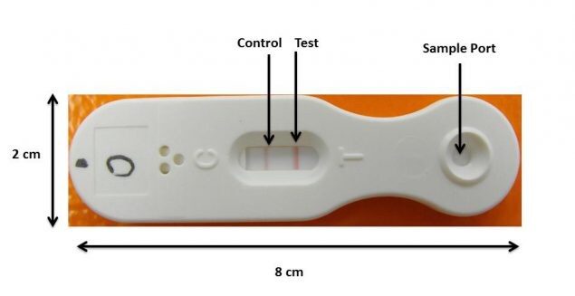 CDC NIOSH inventors first developed a test strip with a sample port and control and test result indicators to detect surface contamination by hazardous antineoplastic drugs.