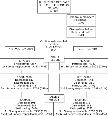 Flow chart graphic