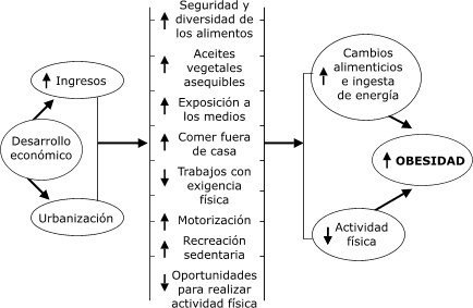 Flujograma del prrafo anterior