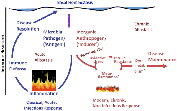 Flow chart