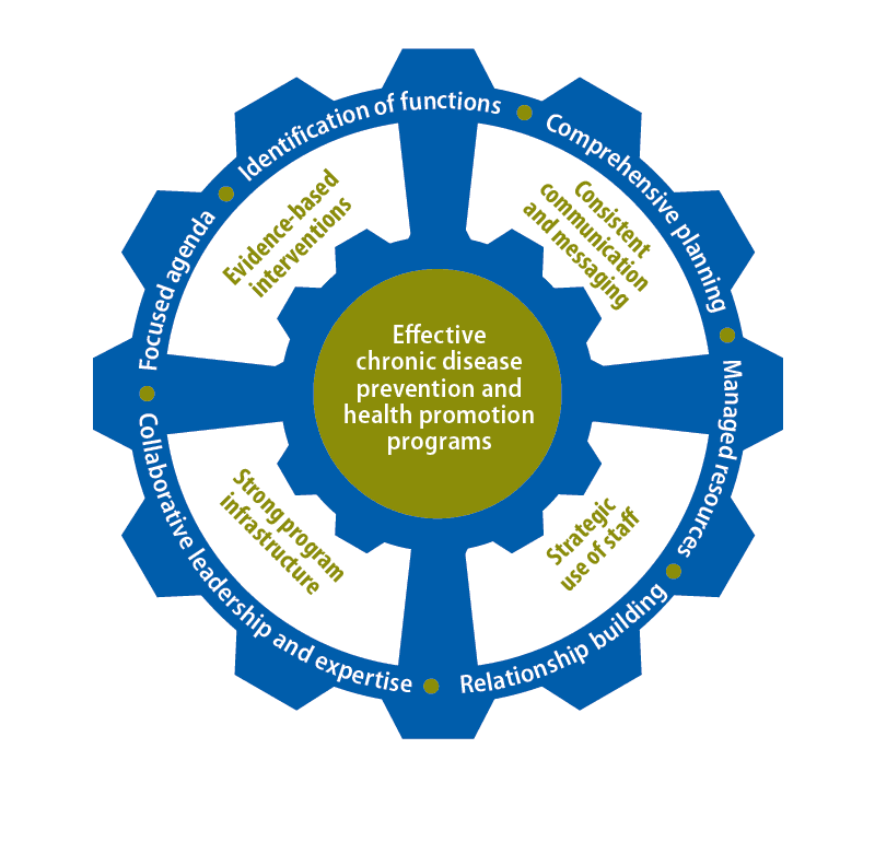 Conceptual model for chronic disease coordination.