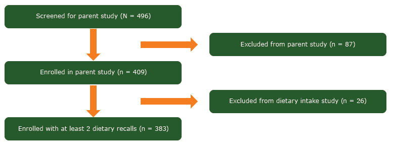 Study cohort enrollment diagram for 383 overweight and obese African American women enrolled in a weight loss intervention in rural Alabama and Mississippi, 2011–2013.