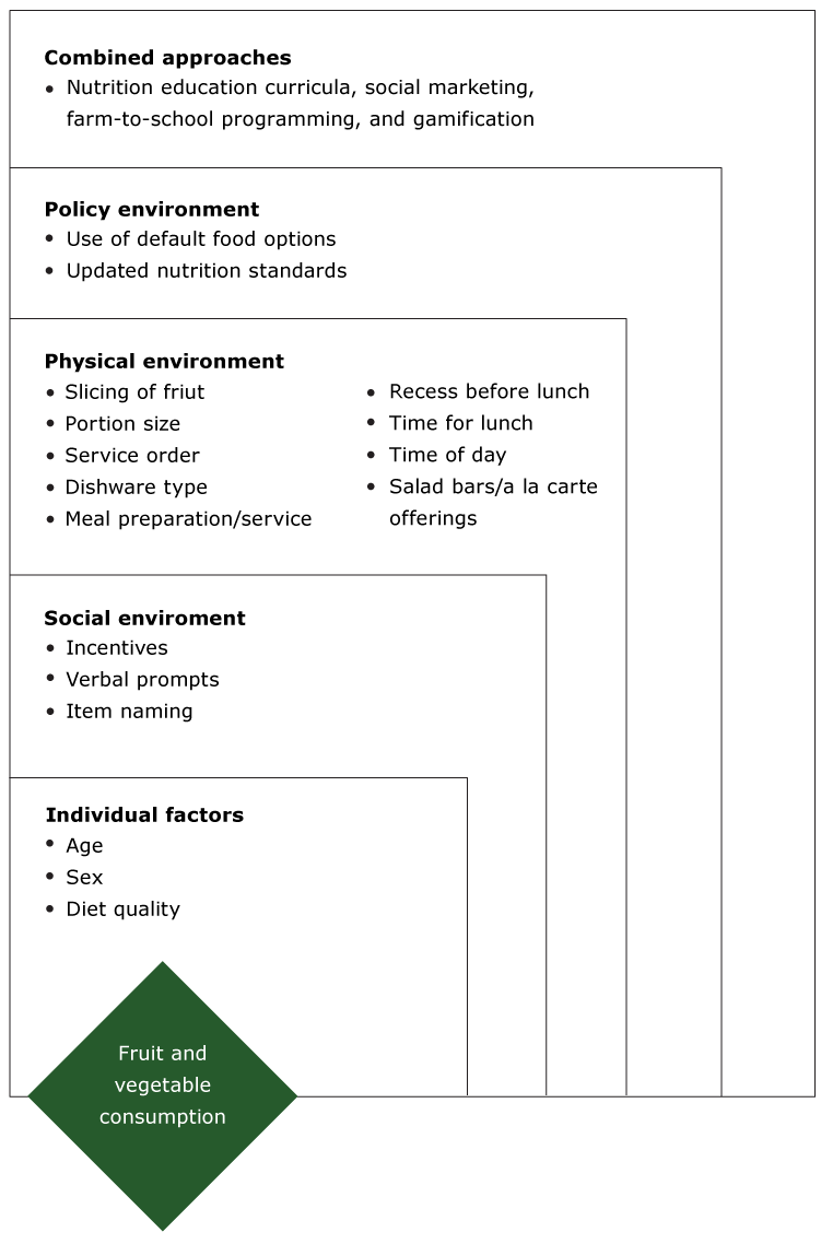 Socioecological framework categorizing factors related to fruit and vegetable consumption at school lunch among elementary students (kindergarten through grade 5) in US schools participating in the National School Lunch Program, 2004–2017.