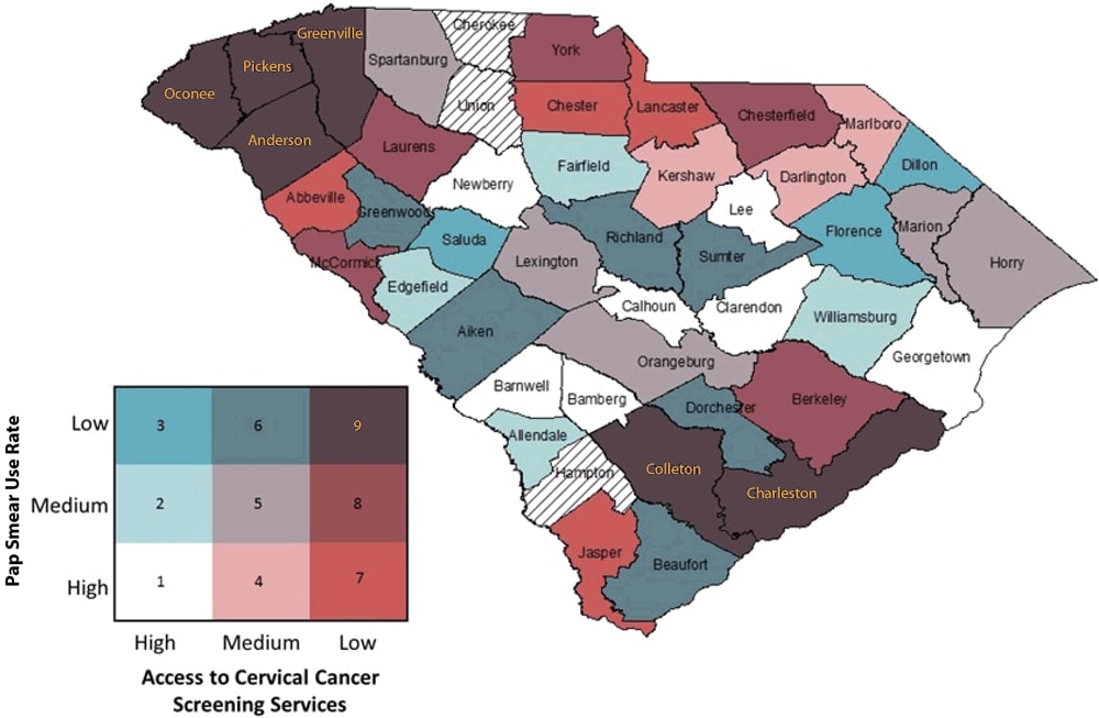 Bivariate map displaying Pap test use and Breast and Cervical Cancer Early Detection Program cervical cancer screening availability with color-coded legend. (Counties with hatch marks had insufficient data to map.)