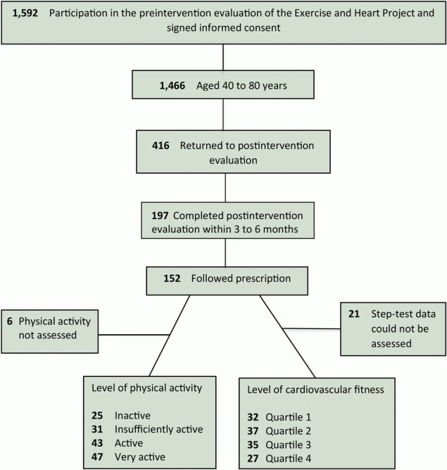 Flow of participants in the Exercise and Heart Project study of physical activity and cardiorespiratory fitness, São Paulo, Brazil, October 2001–October 2015. Levels of physical activity were defined as 1) inactive, 0 minutes per week; 2) insufficiently active, 1 to 149 minutes per week; 3) active, 150 to 299 minutes per week; and 4) very active, 300 or more minutes per week (6). Cardiorespiratory fitness level was assessed by the 2-minute step-test and classified based on quartiles of the total sample as follows: quartile 1, 87 or fewer steps; quartile 2, 88 to 101 steps; quartile 3, 102 to 114 steps; and quartile 4, 115 steps or more.