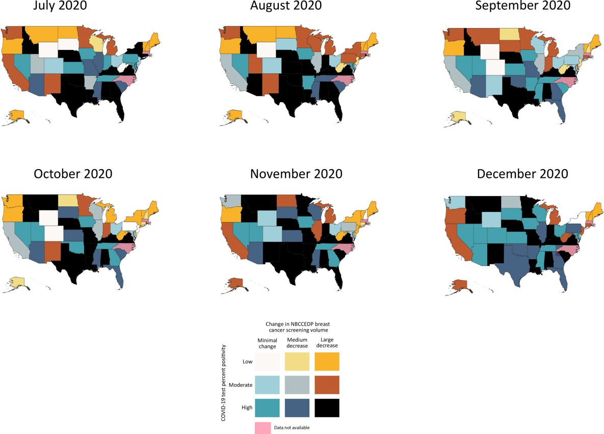 Bivariate visualization of the association between state-level proportional change in NBCCEDP breast cancer screening volume and COVID-19 test percent positivity for each month from July through December 2020. Breast cancer screening volume was based on NBCCEDP minimal data elements submitted in April 2021. Data for the District of Columbia, Massachusetts, and North Carolina and are not displayed because 2020 breast cancer screening data were missing. The change in cancer screening volume was calculated as the difference between the volume during July–December 2020 and the previous 5-year average for those months. Abbreviation: NBCCEDP, National Breast and Cervical Cancer Early Detection Program.