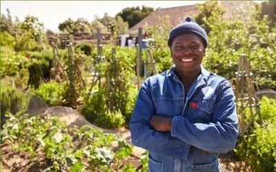 man in a garden