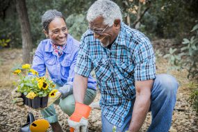 Two older adults working in a garden.