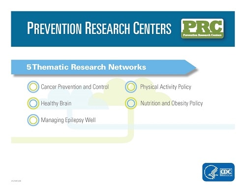 Thematic Networks Infographic