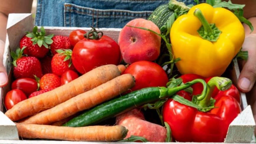 A girl holding of fruits and vegetables.