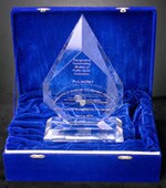 Innovations in Government Award, 2002.