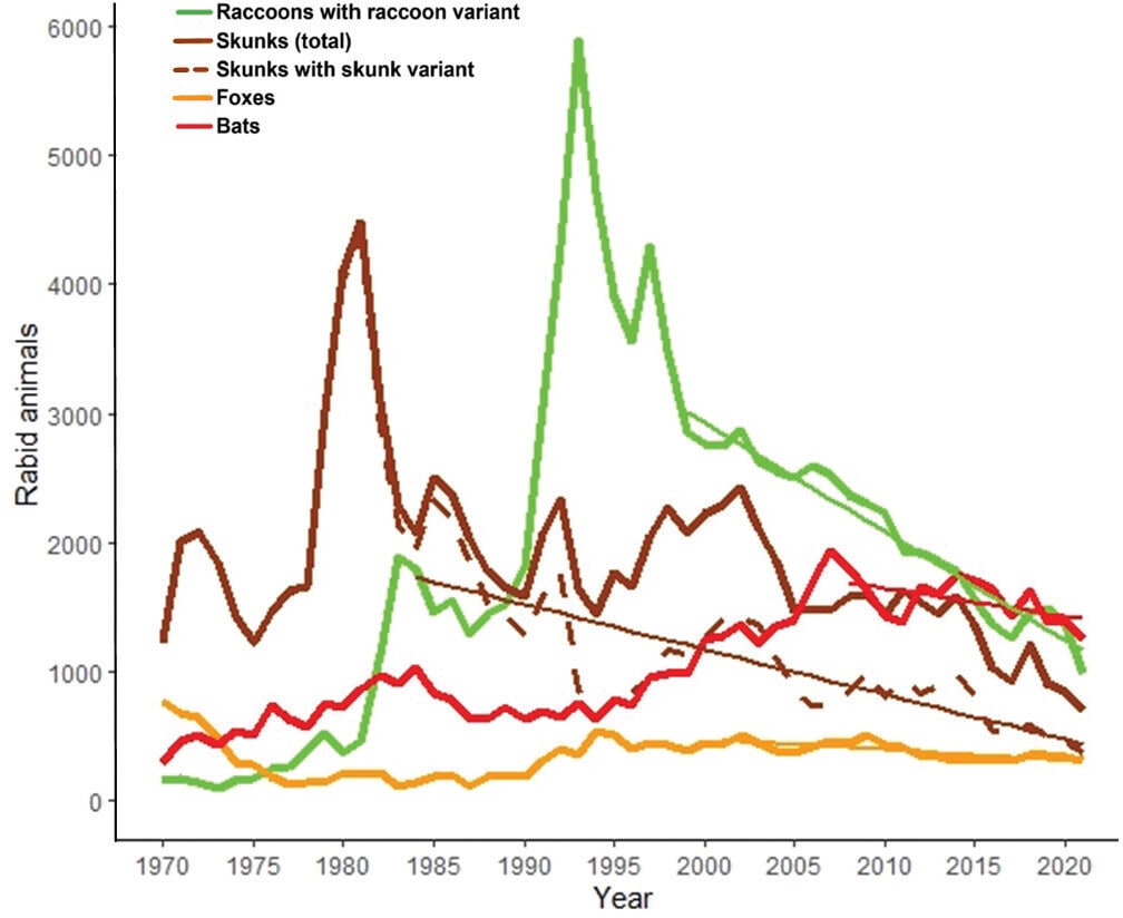 line chart showing different colors representing rabies numbers in the U.S.