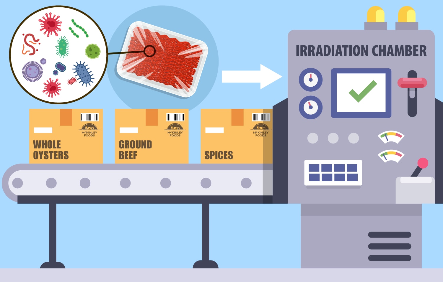 Foods going into an irradiation chamber is showed with a close up of meat with germs on it before the irradiation process.