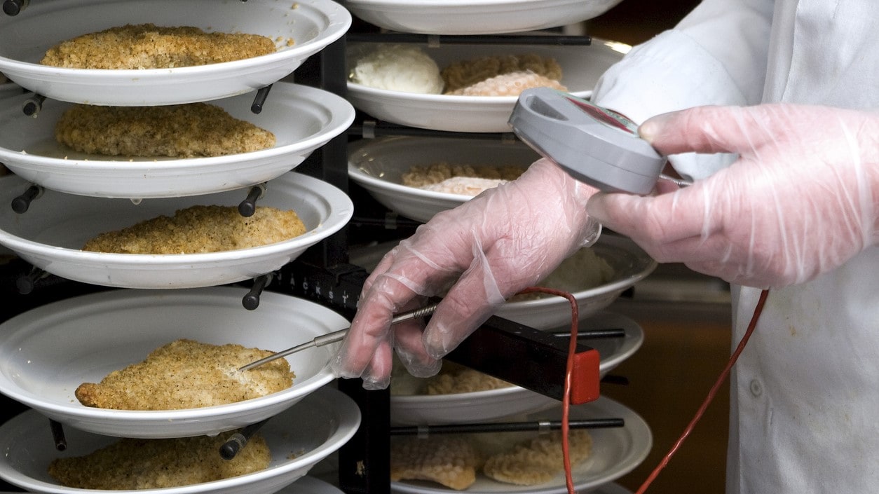 restaurant researcher taking temperature of cooked and plated chicken