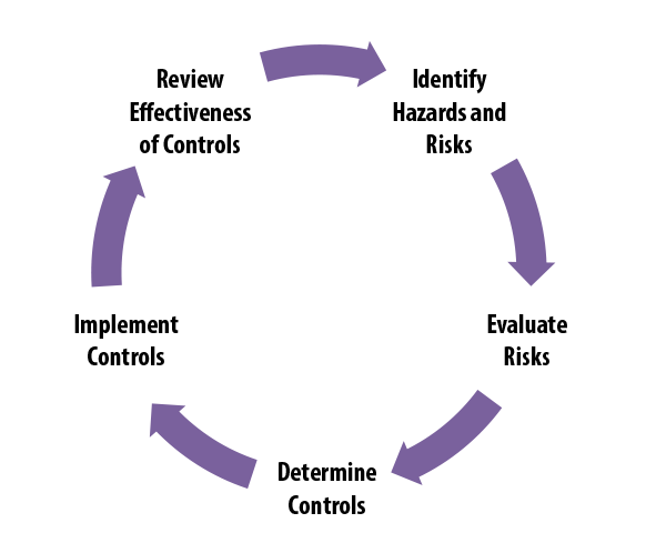 Illustration of the risk management process, a cycle that follows the steps listed on this page.