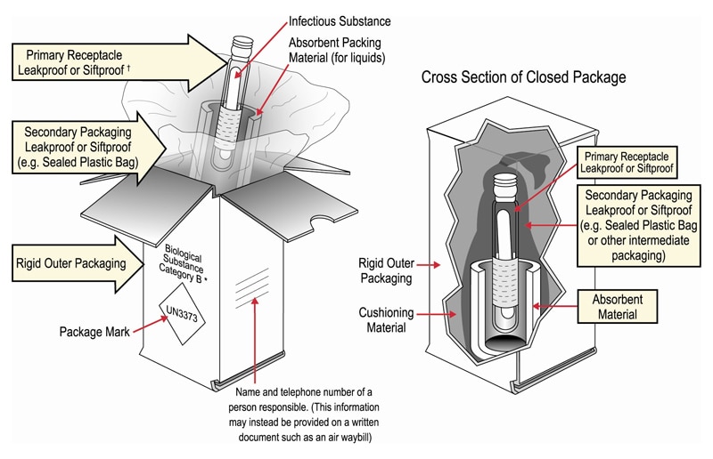 Packing and shipping Category B clinical specimens diagram