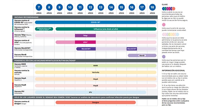 Vacunas desde los 7 a los 18 años de edad