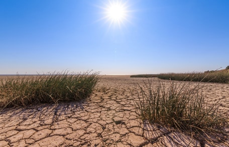 El sol cae sobre el suelo reseco y agrietado.