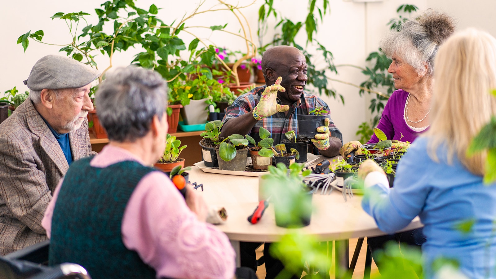 Group of senior friends enjoying gardening together