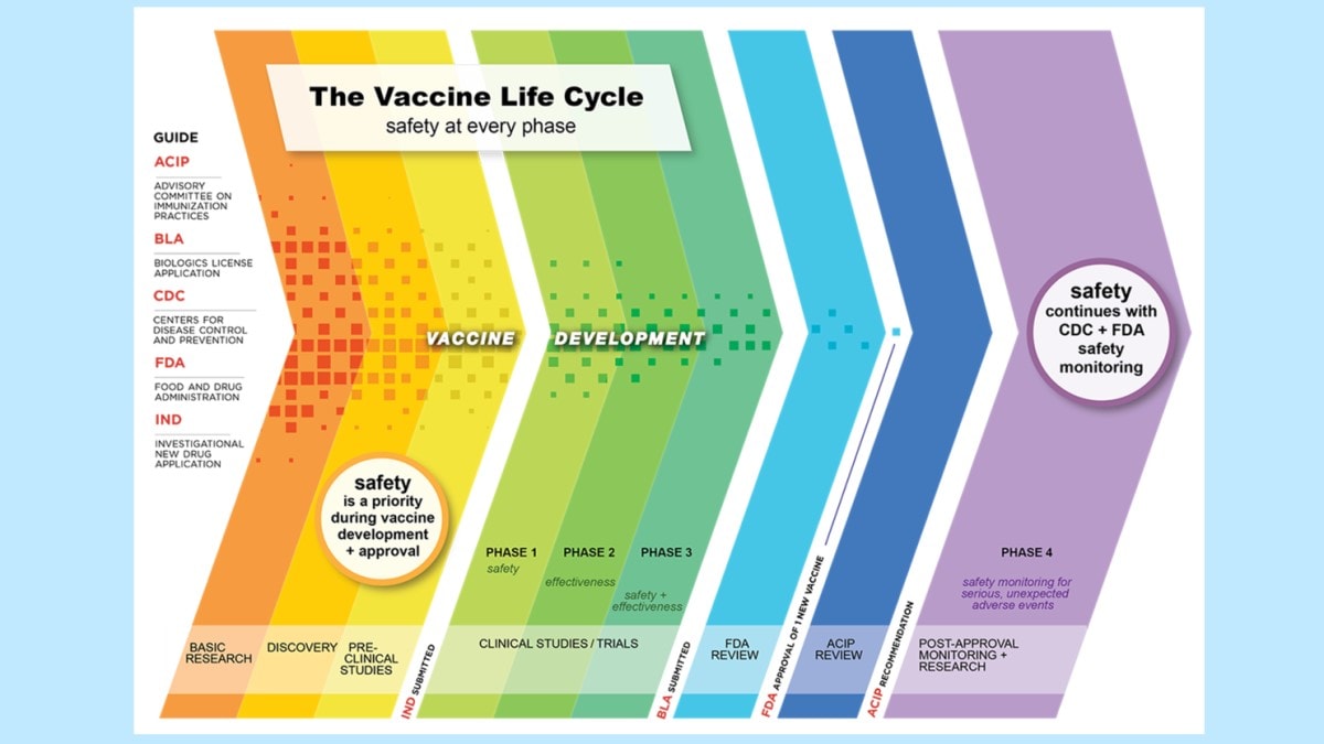 The Vaccine Life Cycle: Safety at Every Phase