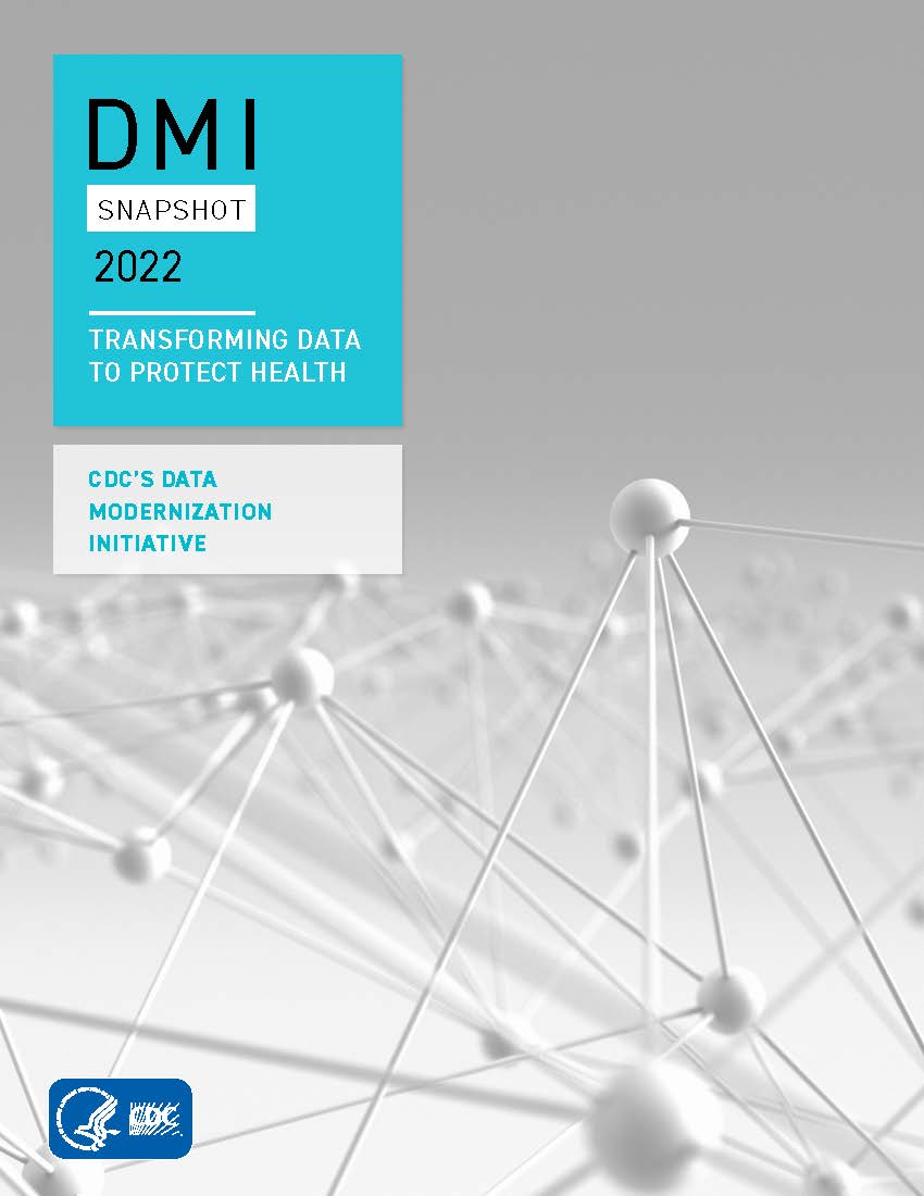 2022 DMI Snapshot cover