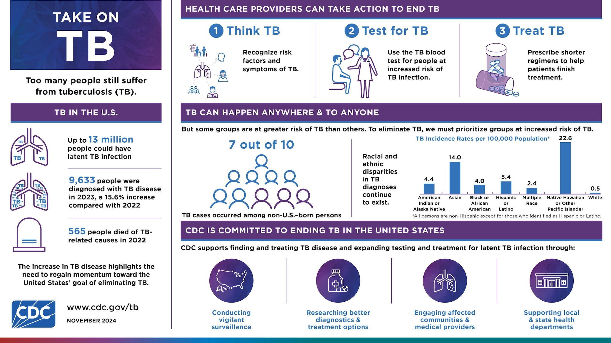 The Take On TB infographic describes TB disease data in the United States in 2023.