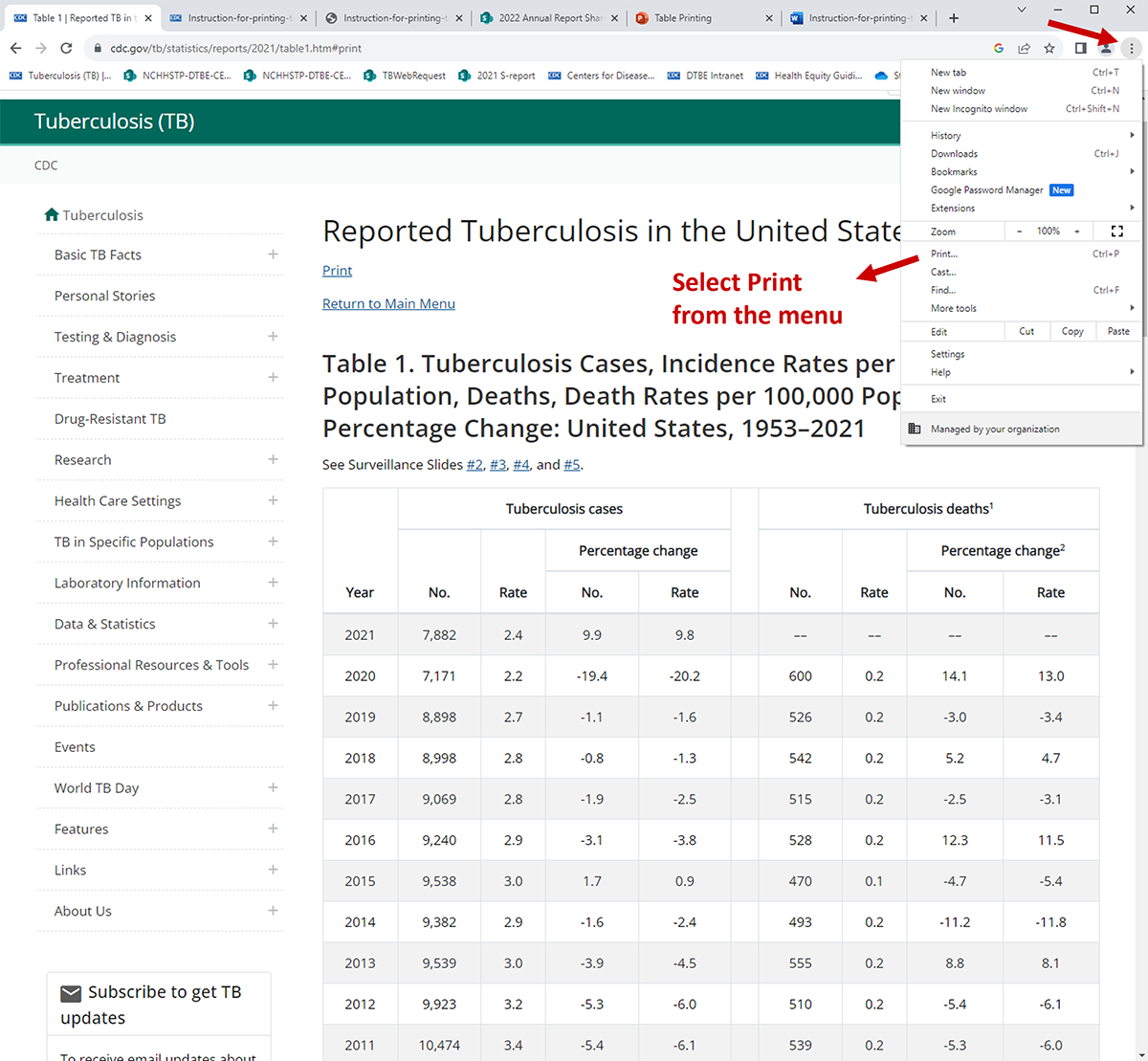 Screen image showing the Print option.