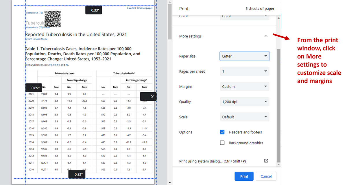 Screen image showing more print options to customize scale and margins