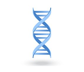 DNA