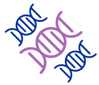 Genotype Clusters