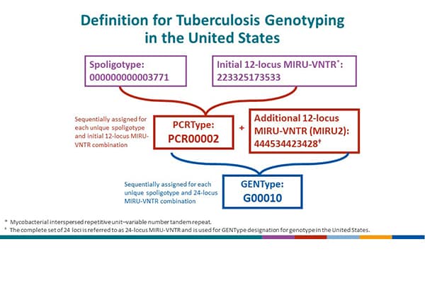 National Tuberculosis Surveillance System Highlights from 2017 - Slide - 26