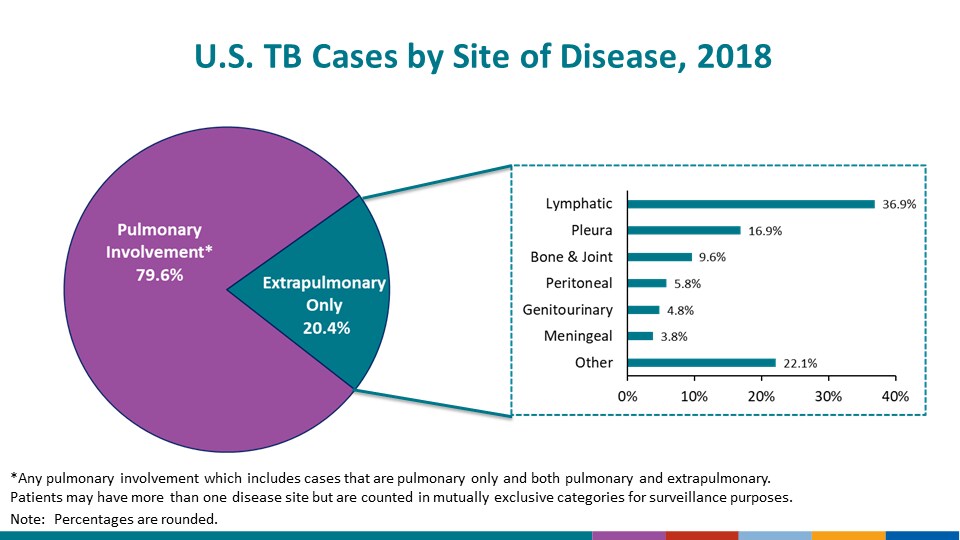 Primary MDR-TB, United States, 1993–2016. This graph focuses on trends in primary multidrug-resistant TB (MDR-TB), which is based on initial isolates from persons with no prior history of TB. The number of primary MDR-TB cases, represented by the bars, decreased steadily from 407 in 1993 to 115 in 2001, with a slight increase to 132 in 2002. Since then, the total number of primary MDR-TB cases has fluctuated from 70 to 103 cases, with 78 cases reported for 2016. Primary MDR-TB, indicated by the trend line, decreased from 2.5% in 1993 to approximately 1.0% in 1998, and has fluctuated approximately 1.0% since then. During 2016, the percentage was 1.2%.