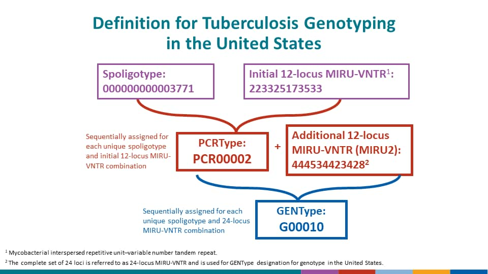 Of the 833 deaths, 206 (24.7%) were dead at the time of TB diagnosis; 33.5% of those deaths were attributed to TB. The remaining 627 (75.3%) deaths occurred after diagnosis; 39.2% of these deaths were attributed to TB.