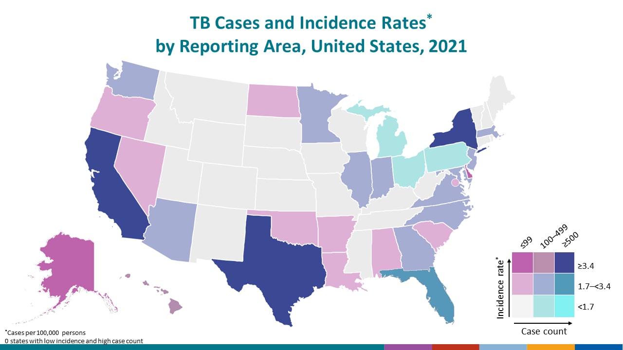 This map shows each state shaded based on two scales, one representing TB case counts and one representing incidence rates.