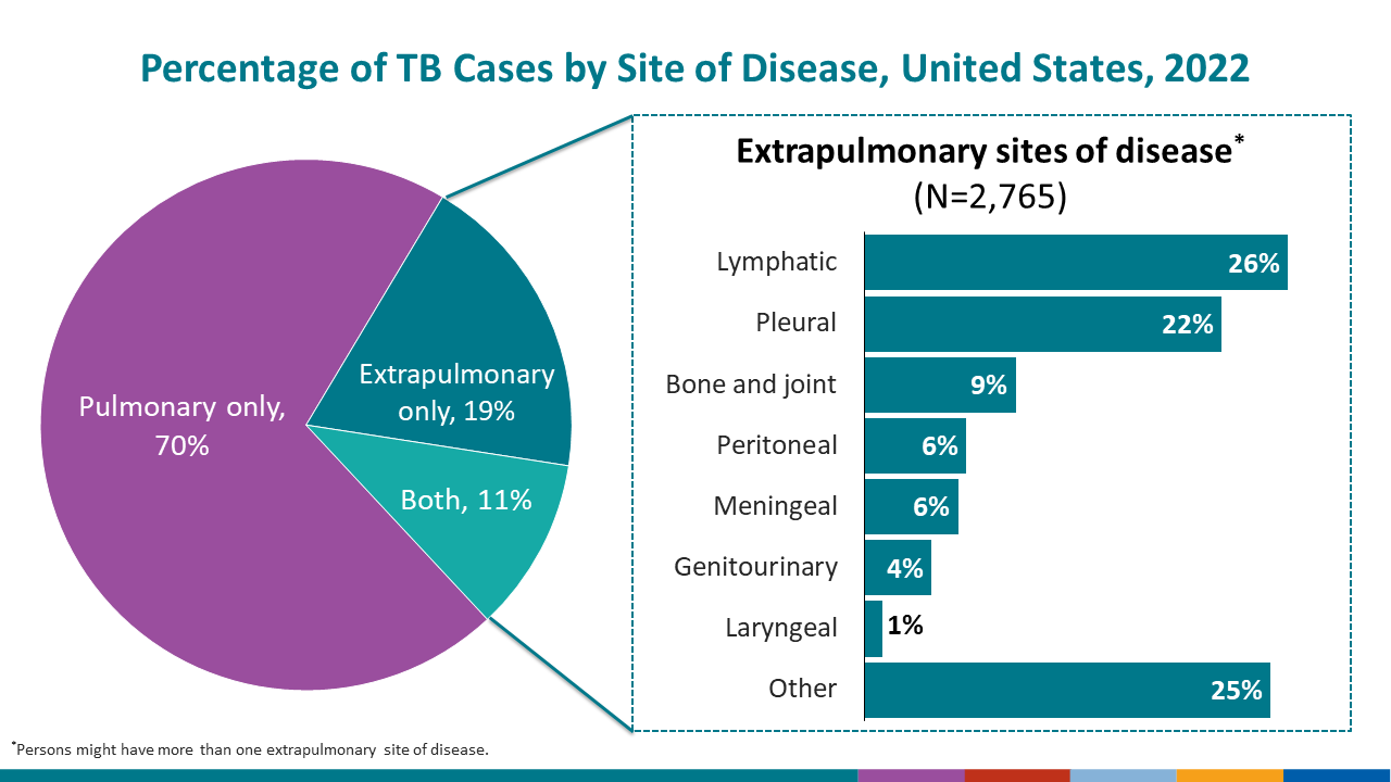 Males continued to represent the majority (61.3%) of persons with TB disease overall.