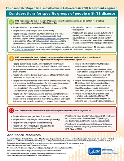 Cover of 'TB Treatment Group Considerations' PDF