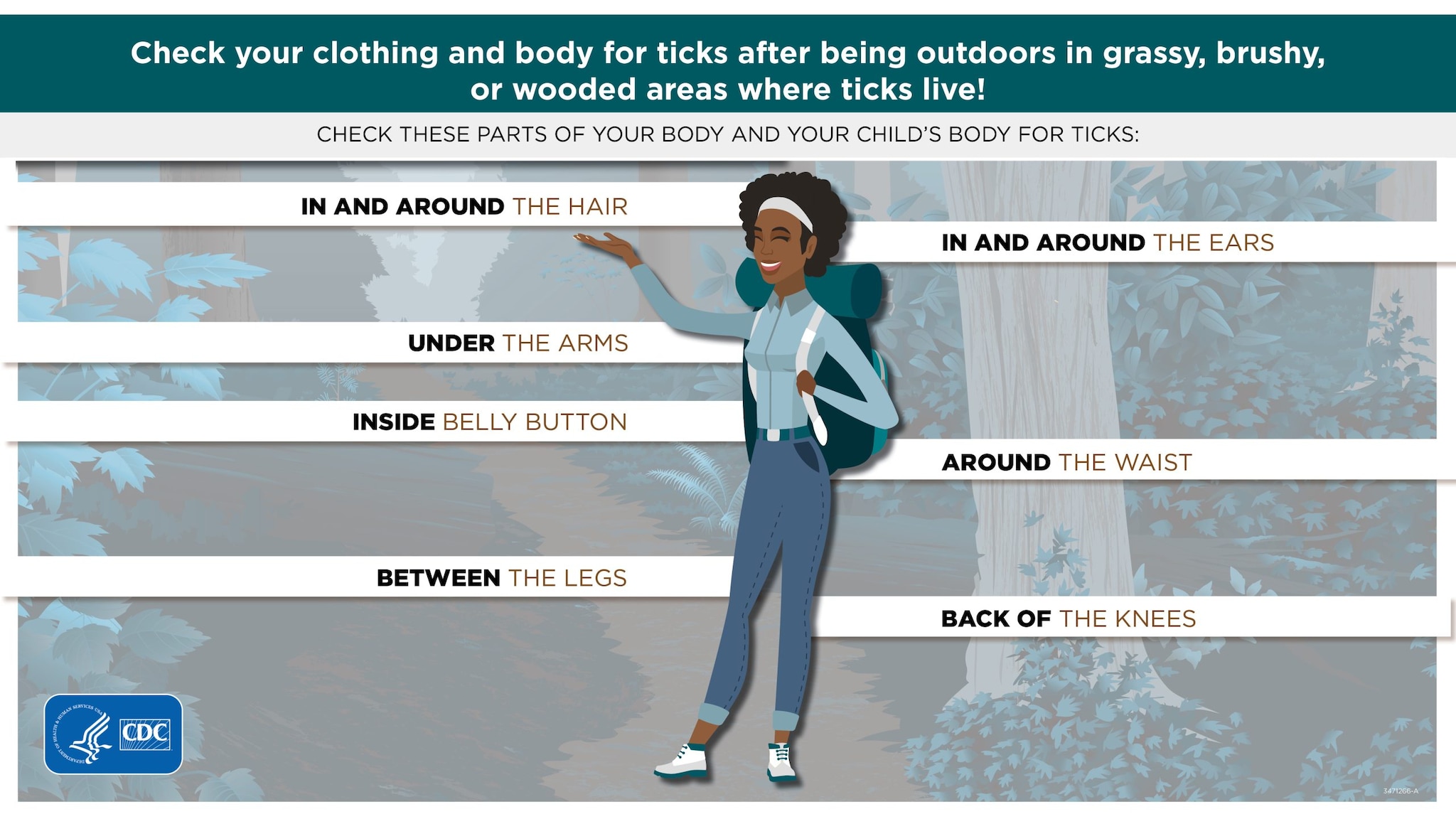 Diagram of a woman in the forest illustrating where on the body to look for ticks.